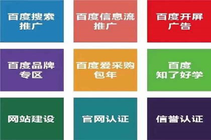 百度SEO推广公司案例解析：揭秘关键词优化技巧